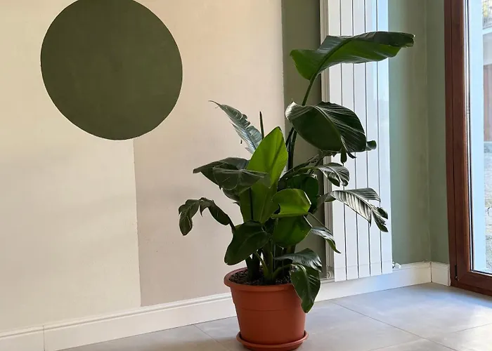 Il Cortile Del Borgo Дом отдыха